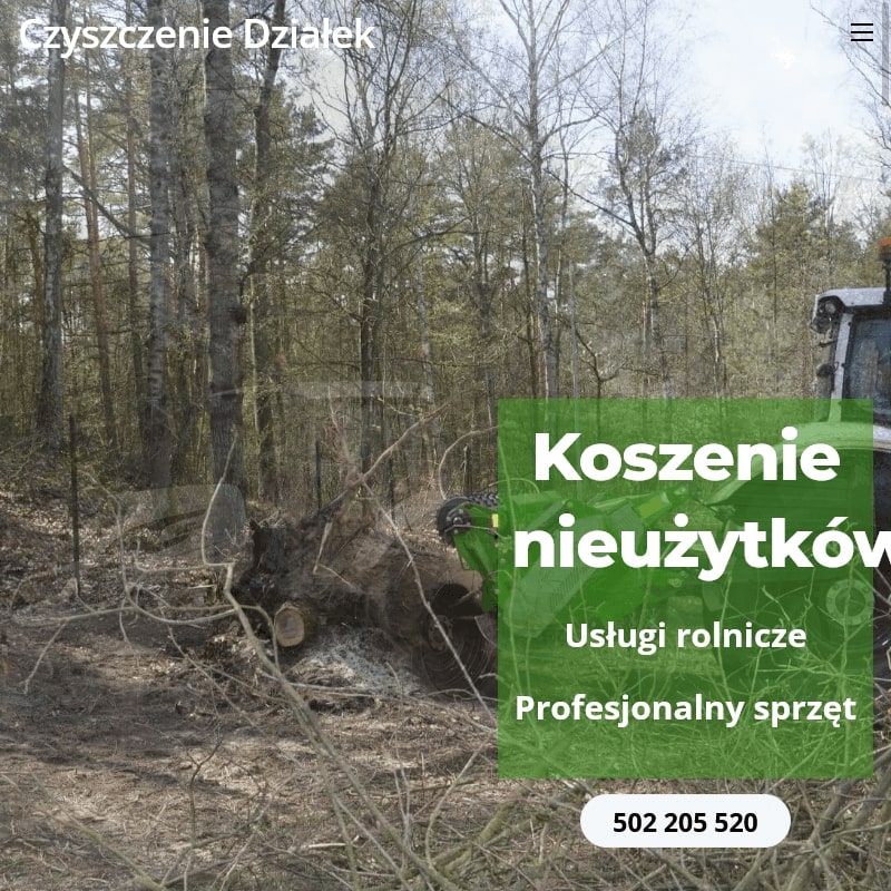 Warszawa - ścinanie drzew