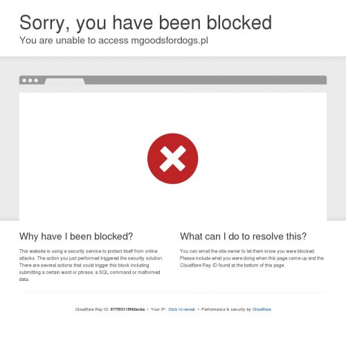 Szelki do obrony dla psa